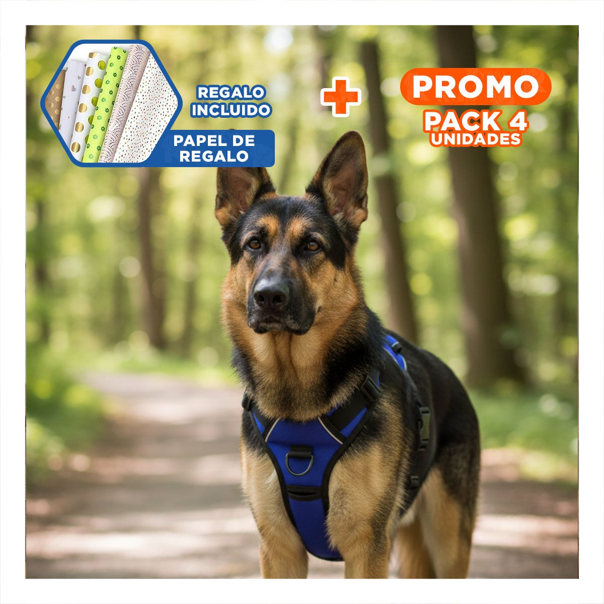 PACK4 CHALECO PARA PERRO AZUL TALLA L SEGURO Y FACIL DE COLOCAR Y+PAPEL REGALO - 1