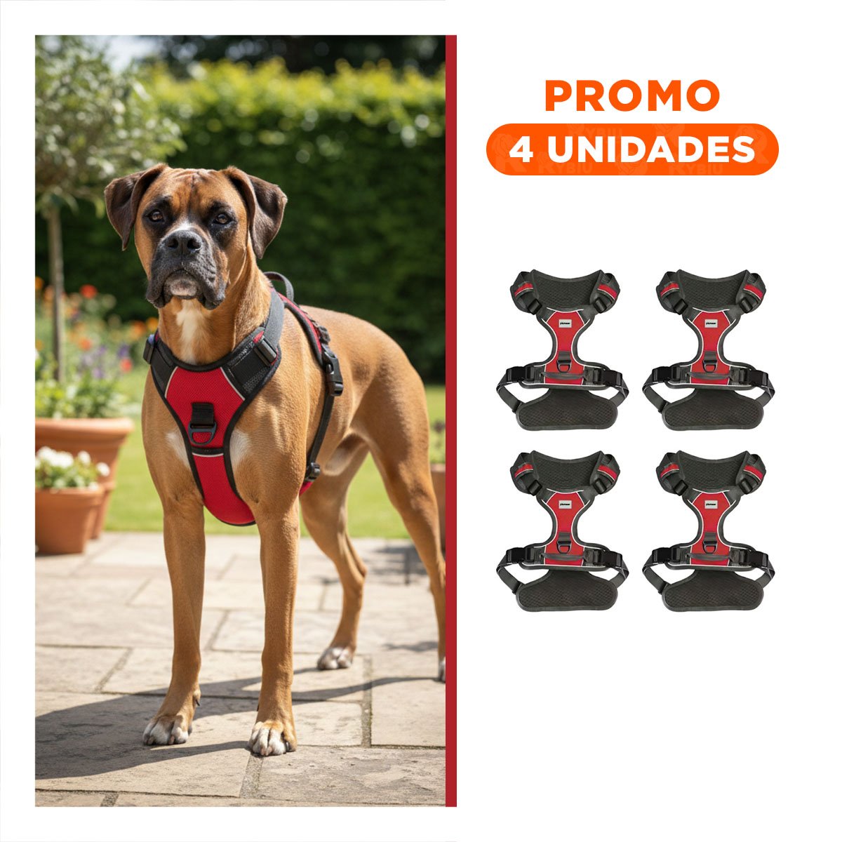 PACK4 CORREA CON PECHERA PARA ANIMAL ROJO TALLA L MATERIAL DURADERO Y+REGALO STICKER - 1
