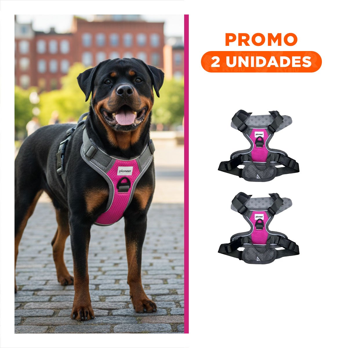 PACK2 EQUIPO PARA PERRO FUCSIA TALLA L ARNES CON HEBILLA REFORZADA - 1