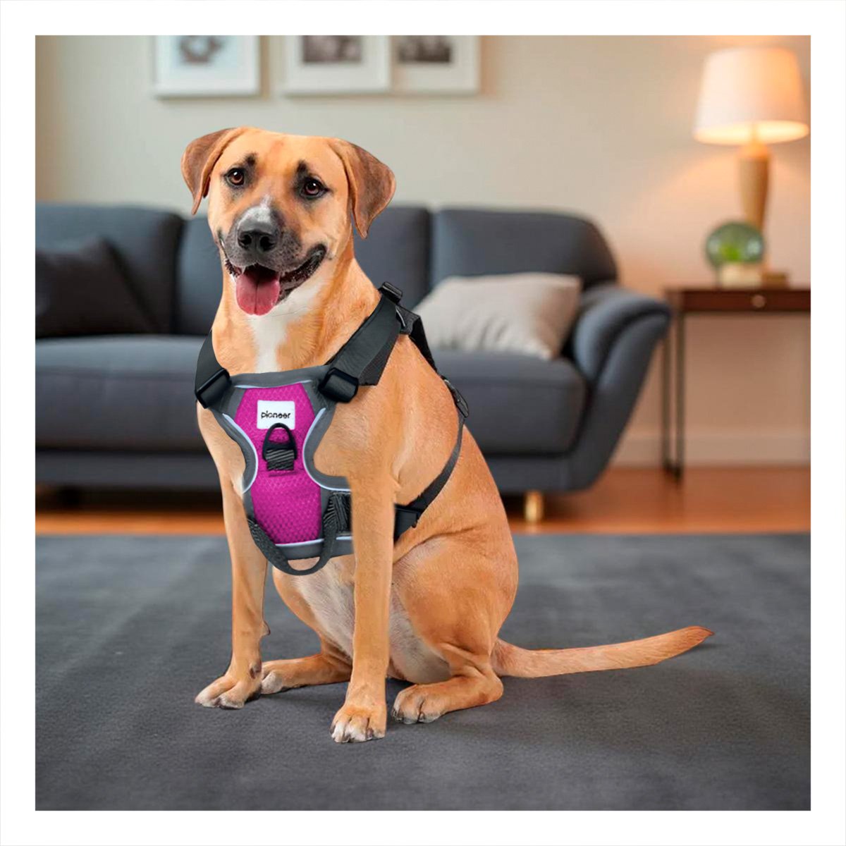 PACK2 EQUIPO PARA PERRO FUCSIA TALLA L ARNES CON HEBILLA REFORZADA - 3
