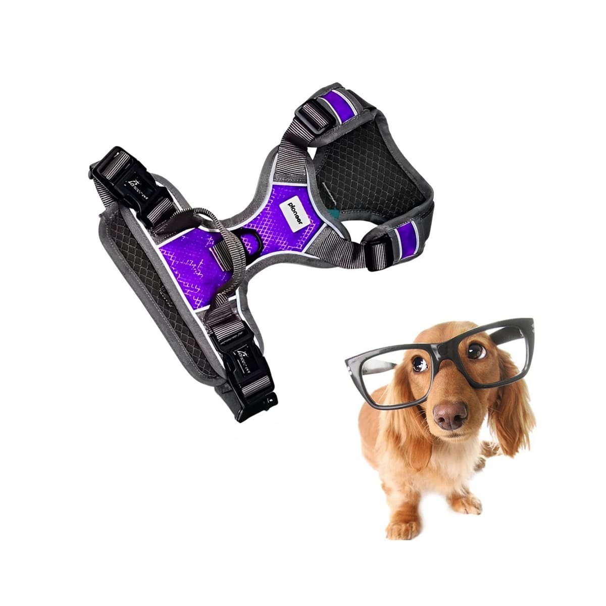 CHALECO PARA PERRO MORADO TALLA XL FACIL DE COLOCAR Y AJUSTABLE Y+REGALO STICKER - 3