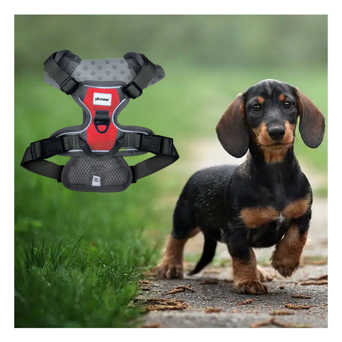 PECHERA LIGERA PARA PERRO ROJO TALLA M COMODA Y PRACTICA EN CADA SALIDA Y+PAPEL REGALO - 2