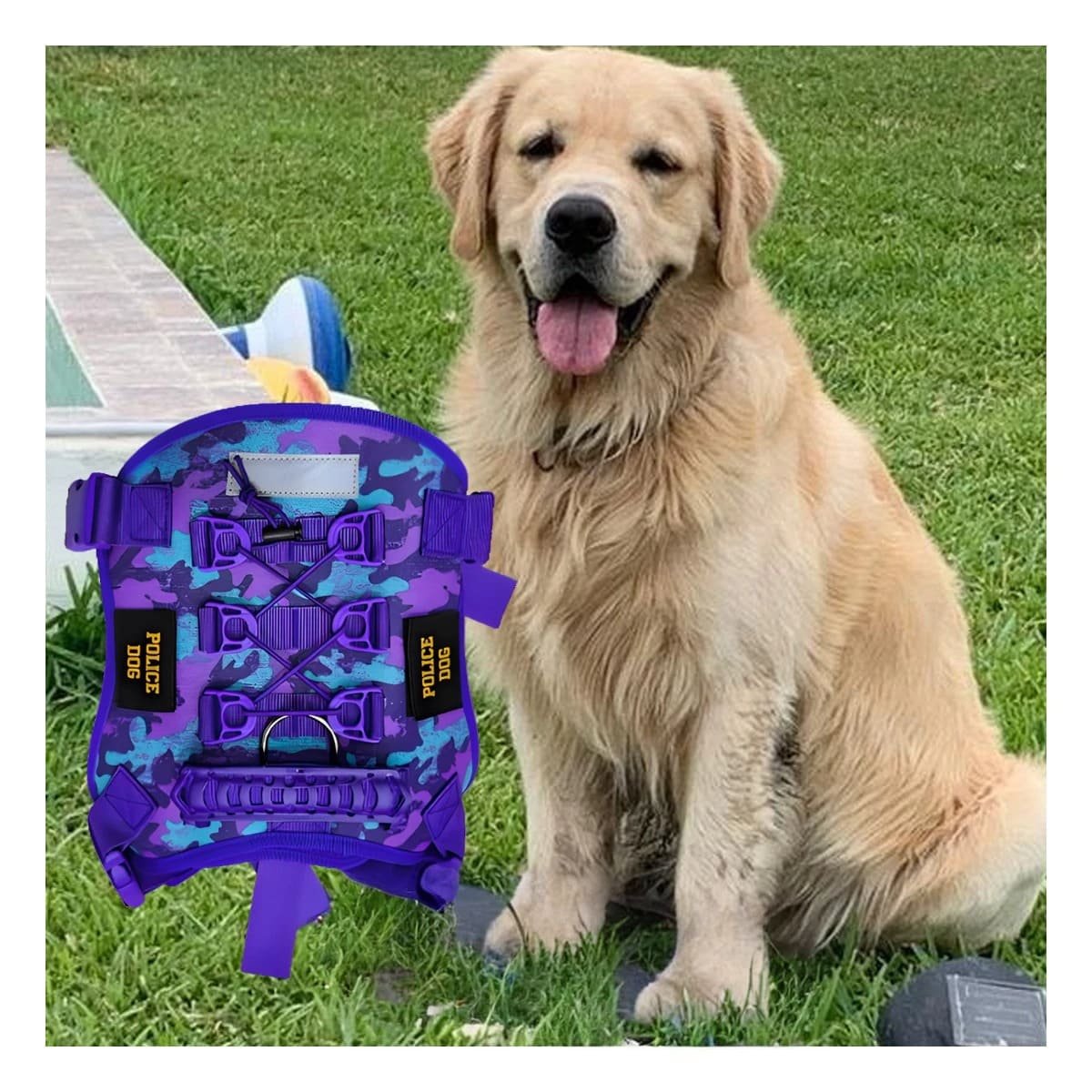 PECHO CHALECOS TACTICO PARA PERRO MORADO TALLA XL COMODO Y AJUSTABLE Y+PAPEL REGALO - 2