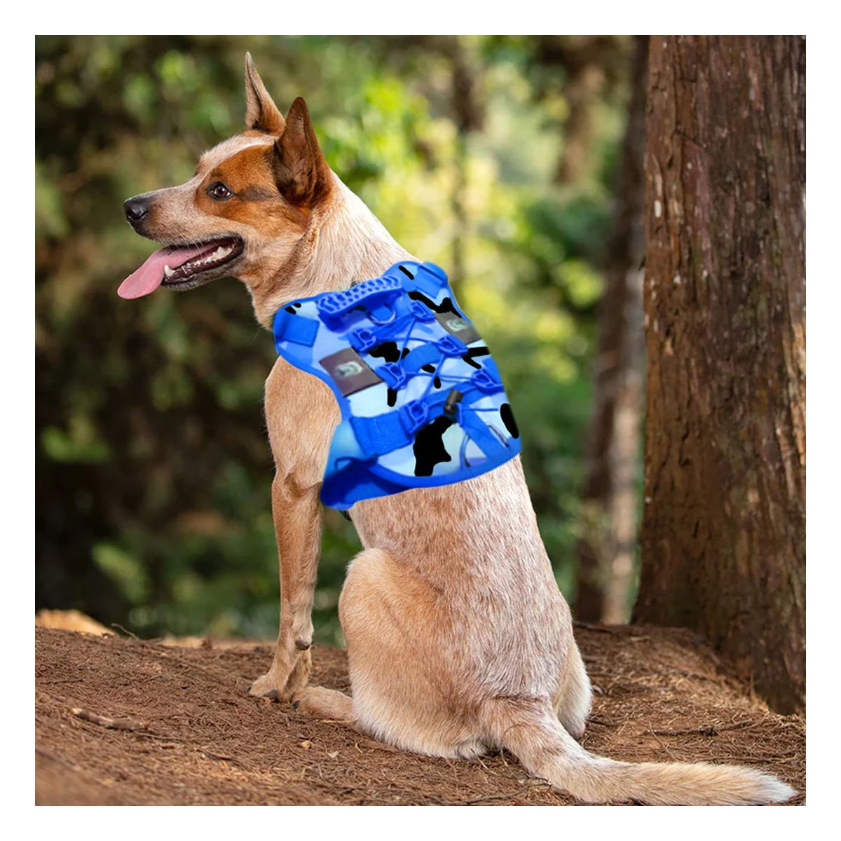 PECHO RESISTENTE PARA PERRO AZUL CON CHALECO COMODO Y FACIL DE AJUSTAR Y+REGALO STICKER - 5