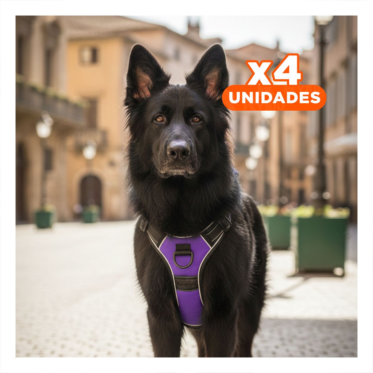 PACK4 CHALECO LIGERO PARA PERRO MORADO TALLA L FACIL DE AJUSTAR - 1