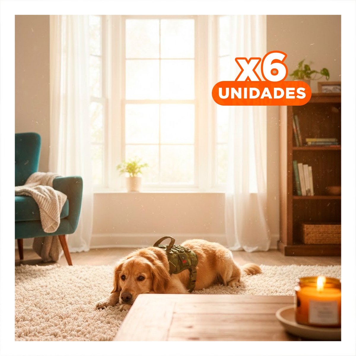 PACK6 ARNES PARA PERRO ACTIVO VERDE OSCURO TALLA L PRACTICO Y DURABLE Y+REGALO STICKER - 1