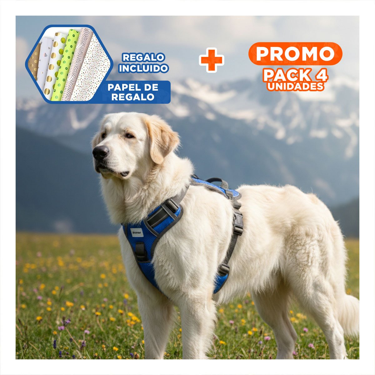 PACK4 EQUIPO PARA PERRO AZUL TALLA XL CONFORTABLE Y RESISTENTE AL USO Y+PAPEL REGALO - 1