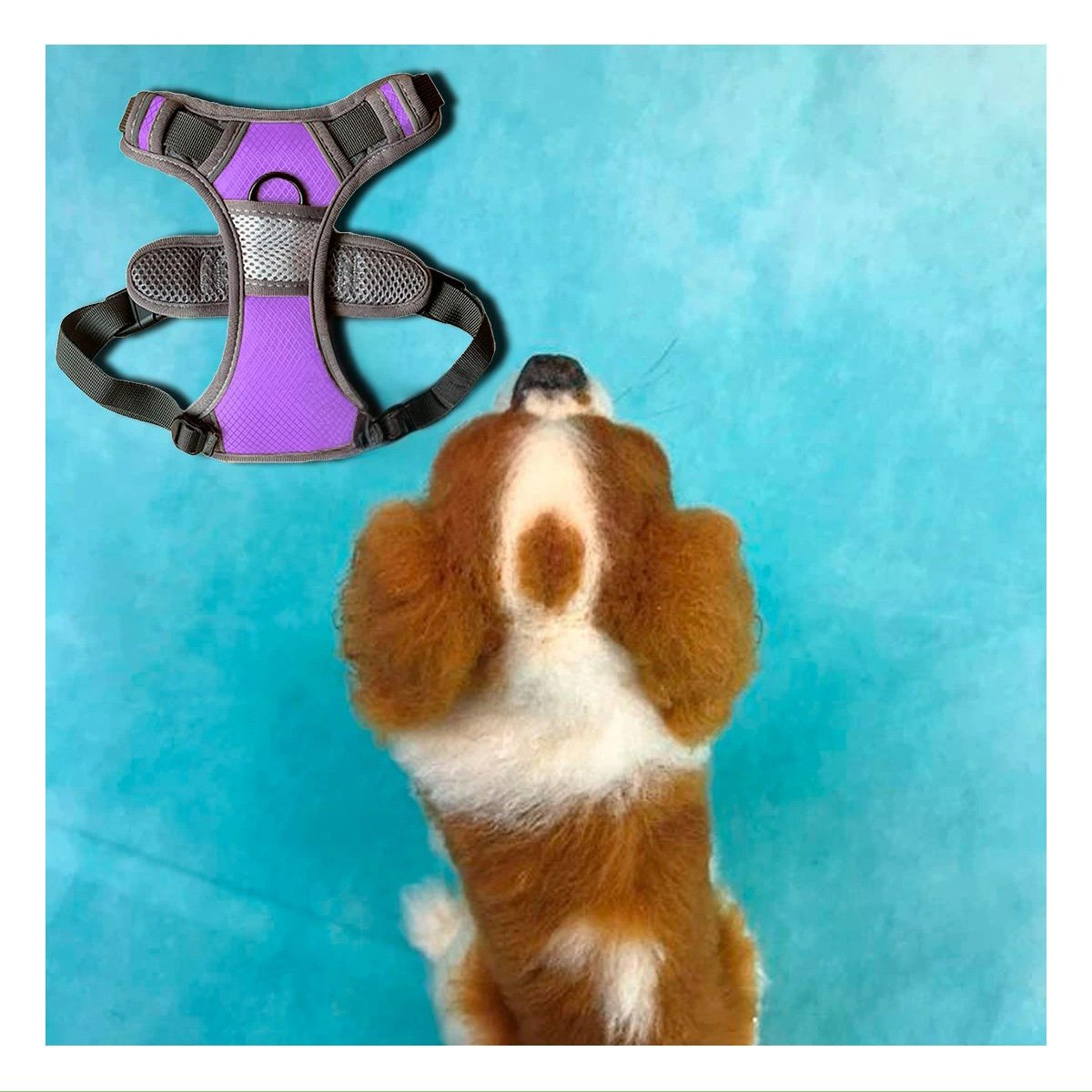 PACK2 SOPORTE ANTITIRONES PARA PERRO MORADO TALLA M CONFORTABLE Y SEGURO Y+REGALO STICKER - 3