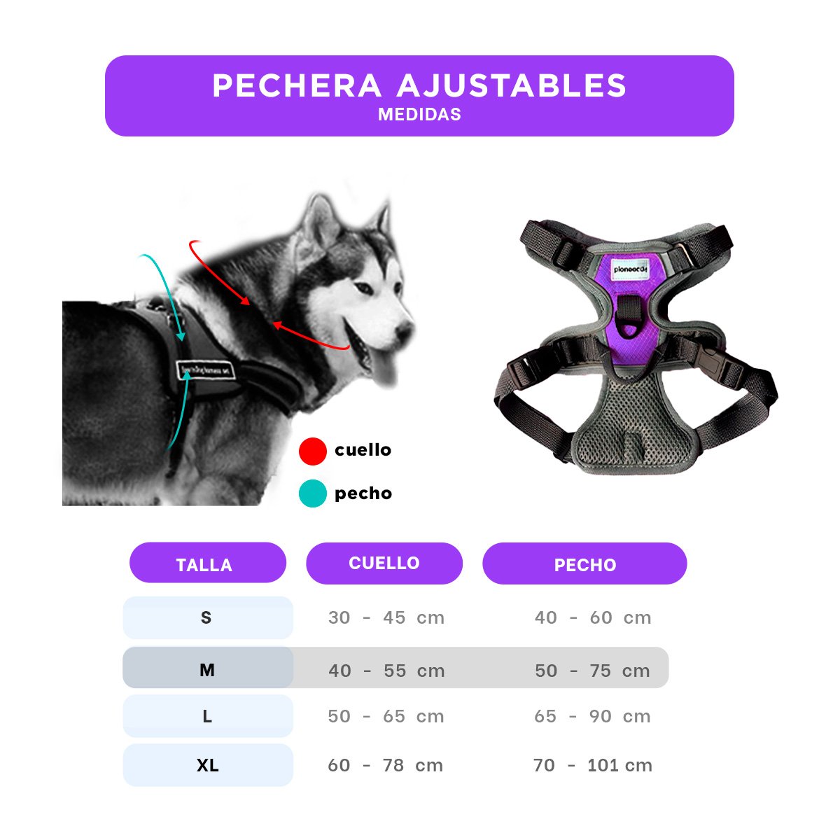 PACK2 SOPORTE ANTITIRONES PARA PERRO MORADO TALLA M CONFORTABLE Y SEGURO Y+REGALO STICKER - 4