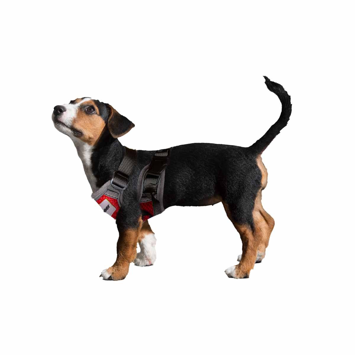 PACK6 PRENDA AJUSTABLE PARA PERRO ROJO TALLA S LIGERA Y+REGALO STICKER - 2