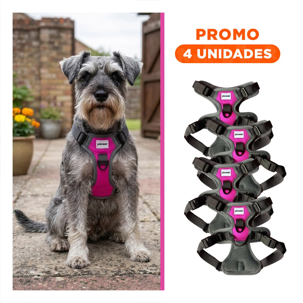 PACK4 CORREA CONFORTABLE FUCSIA PARA PERRO DE TALLA M PARA CAMINATAS Y+REGALO STICKER - 1