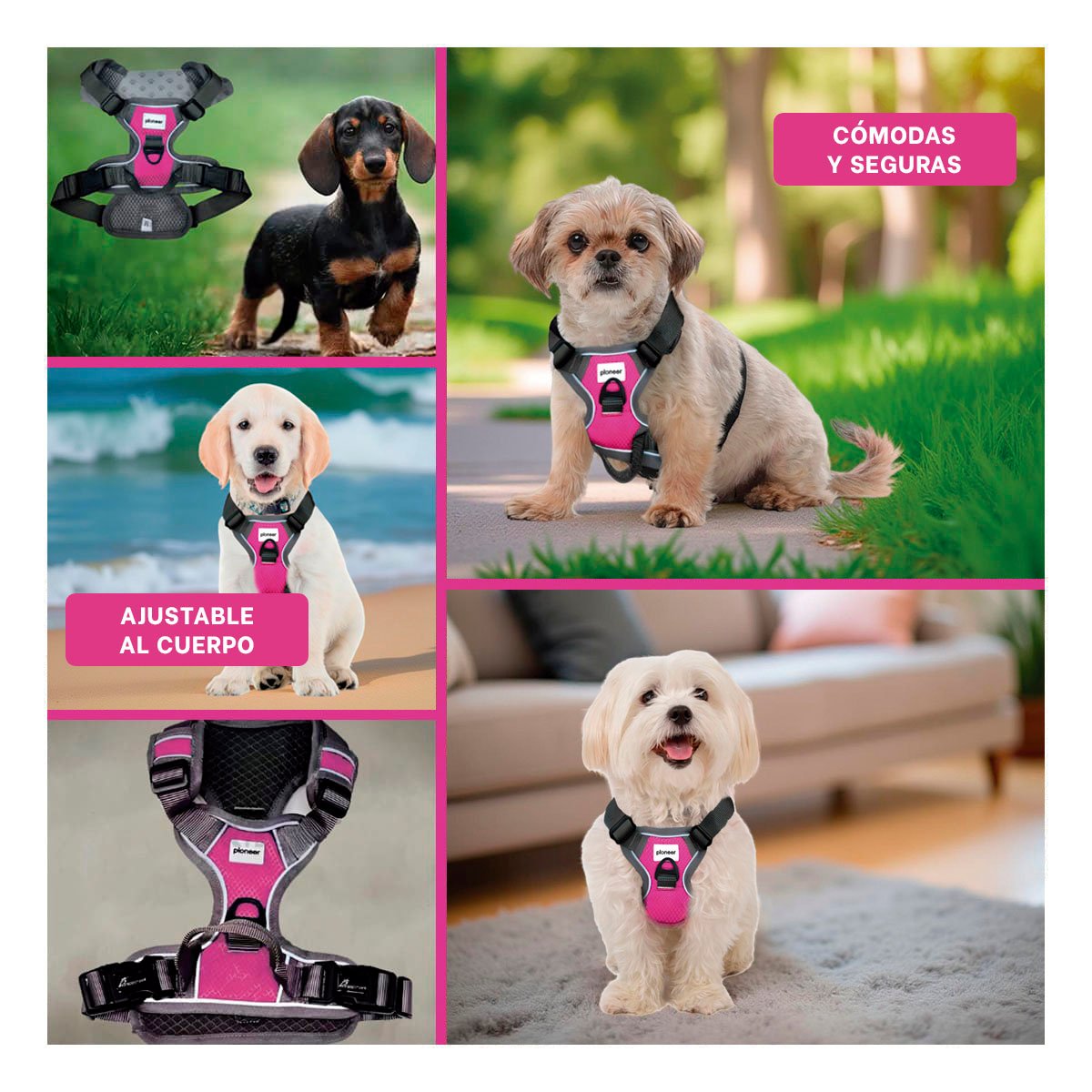 PACK4 CORREA CONFORTABLE FUCSIA PARA PERRO DE TALLA M PARA CAMINATAS Y+REGALO STICKER - 2
