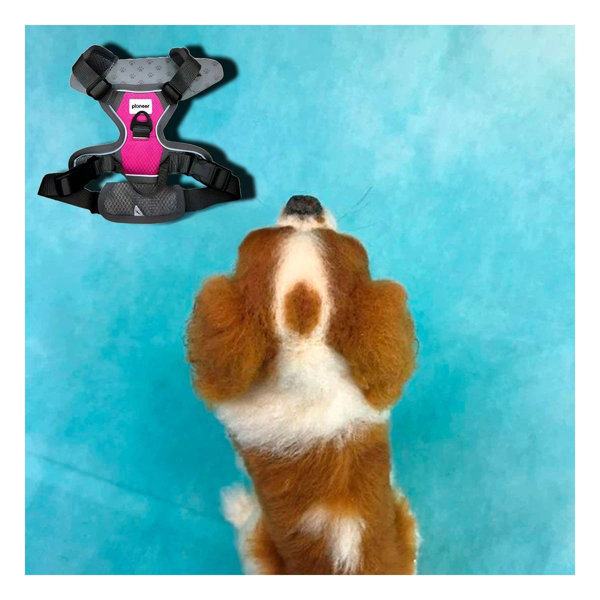 PACK4 CORREA CONFORTABLE FUCSIA PARA PERRO DE TALLA M PARA CAMINATAS Y+REGALO STICKER - 5