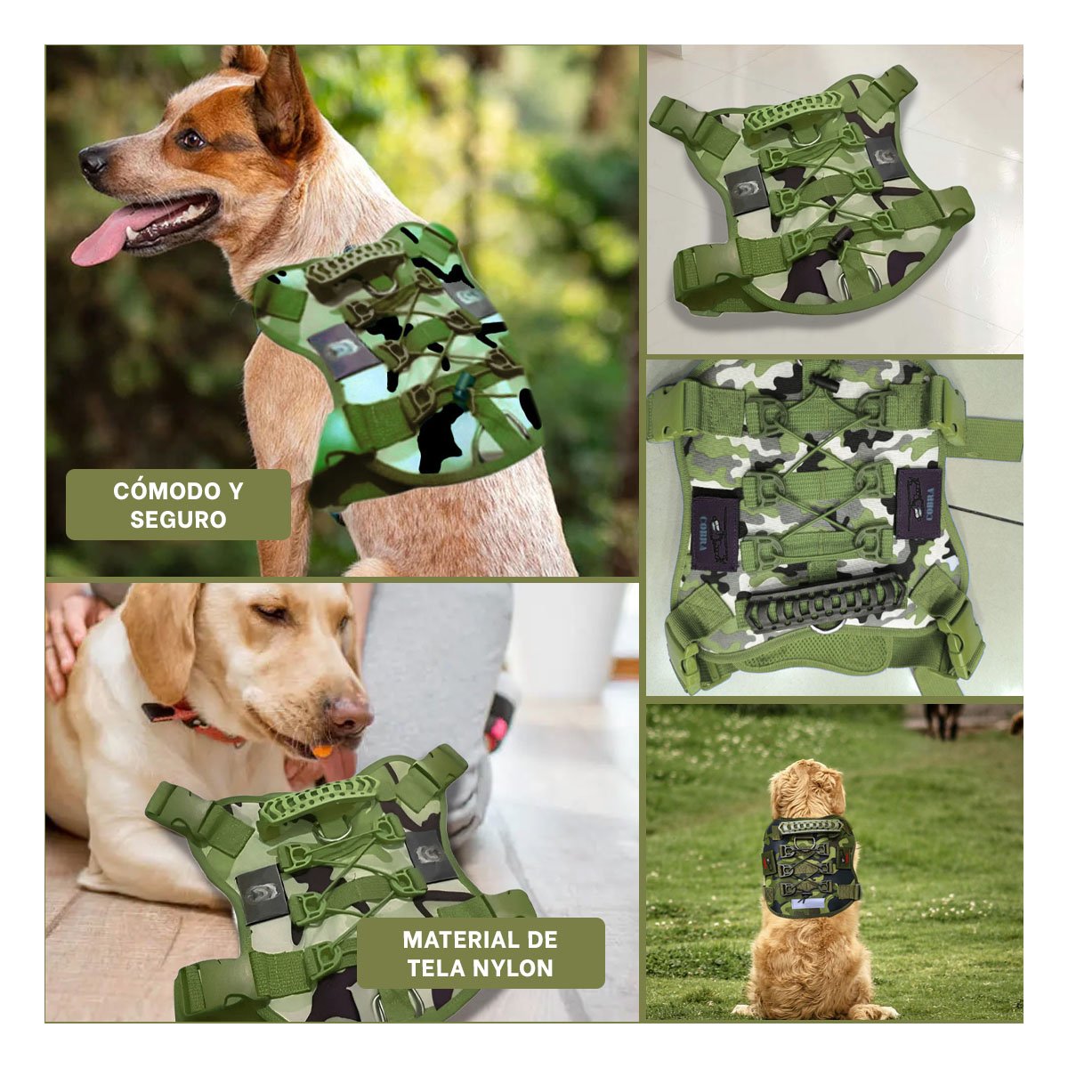 PACK4 VESTIMENTA PARA PERRO GRANDE VERDE OSCURO TALLA L AJUSTABLE Y LIGERA Y+REGALO STICKER - 2