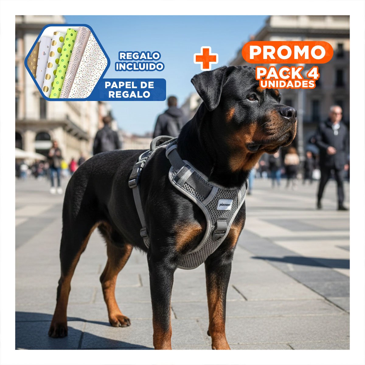 PACK4 PROTECCION PARA PERRO CON PECHERA NEGRA Y MATERIAL CONFORTABLE Y+PAPEL REGALO - 1