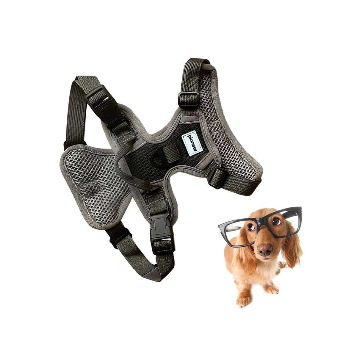 PACK4 PROTECCION PARA PERRO CON PECHERA NEGRA Y MATERIAL CONFORTABLE Y+PAPEL REGALO - 3