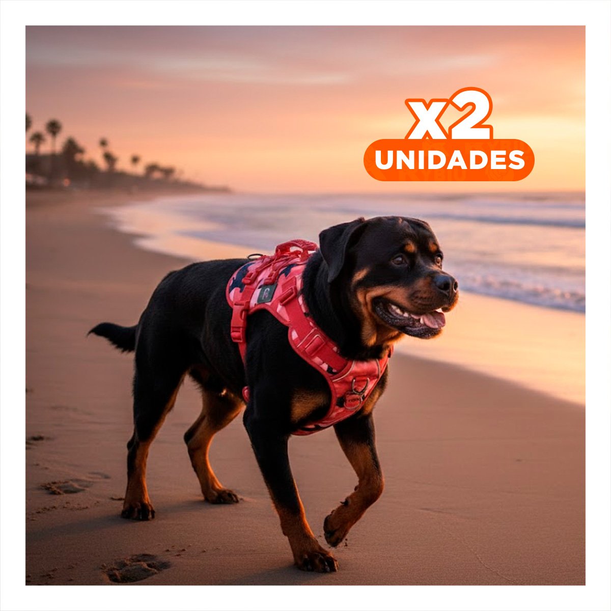 PACK2 PECHERA CHALECOS TACTICO PARA PERRO ROJO FACIL DE AJUSTAR Y SEGURO Y+REGALO STICKER - 1
