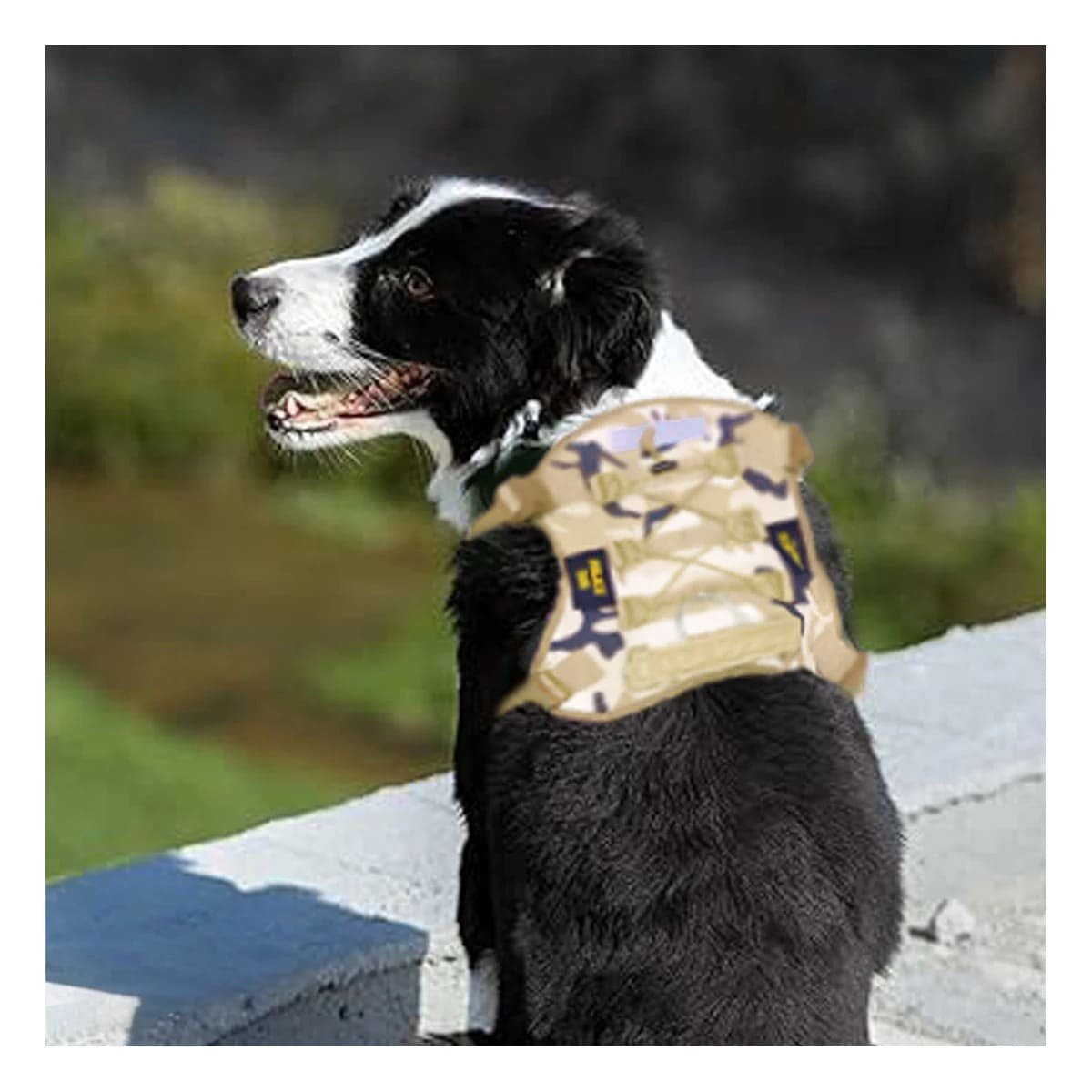 PACK2 ARNES CON PECHERA PARA PERRO VERDE CLARO TALLA XL SEGURO Y+REGALO STICKER - 3
