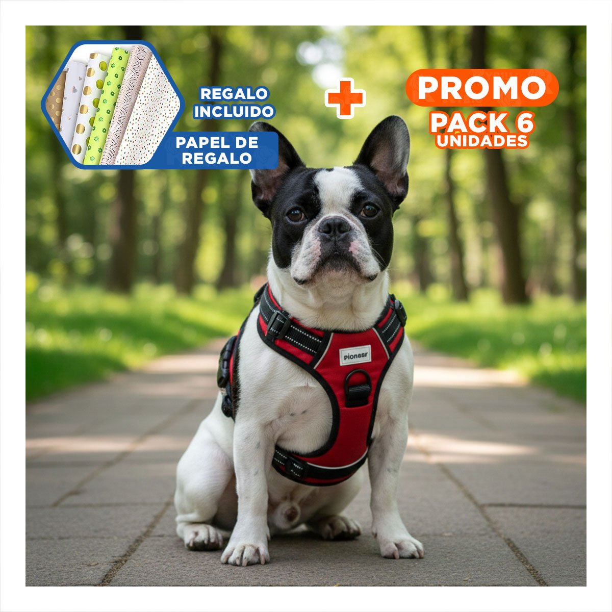 PACK6 ARNES CONFORTABLE PARA PERRO MORADO TALLA L FACIL DE USAR Y+PAPEL REGALO - 1