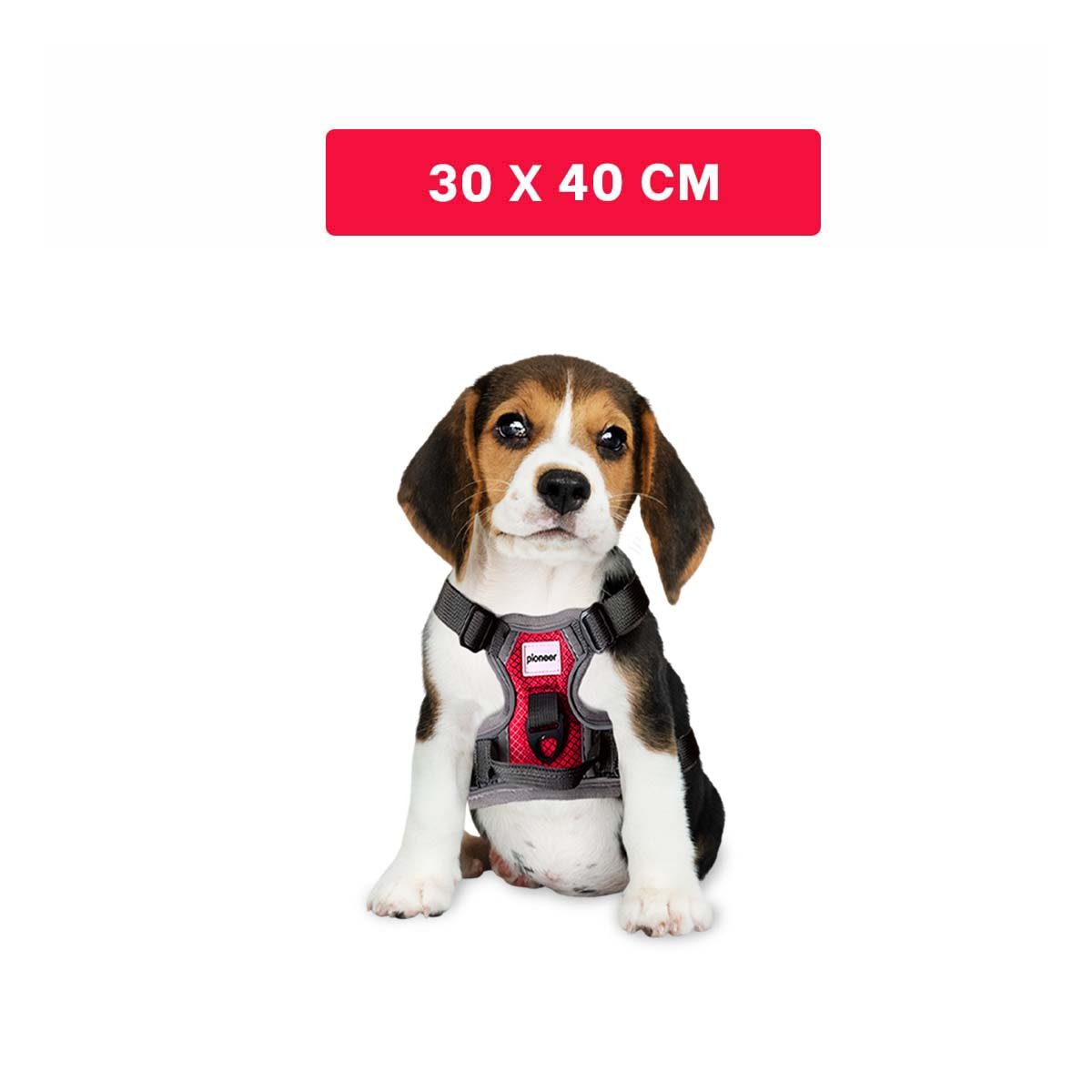 PACK6 EQUIPO AJUSTABLE PARA PERRO ROJO TALLA S RESISTENTE - 4