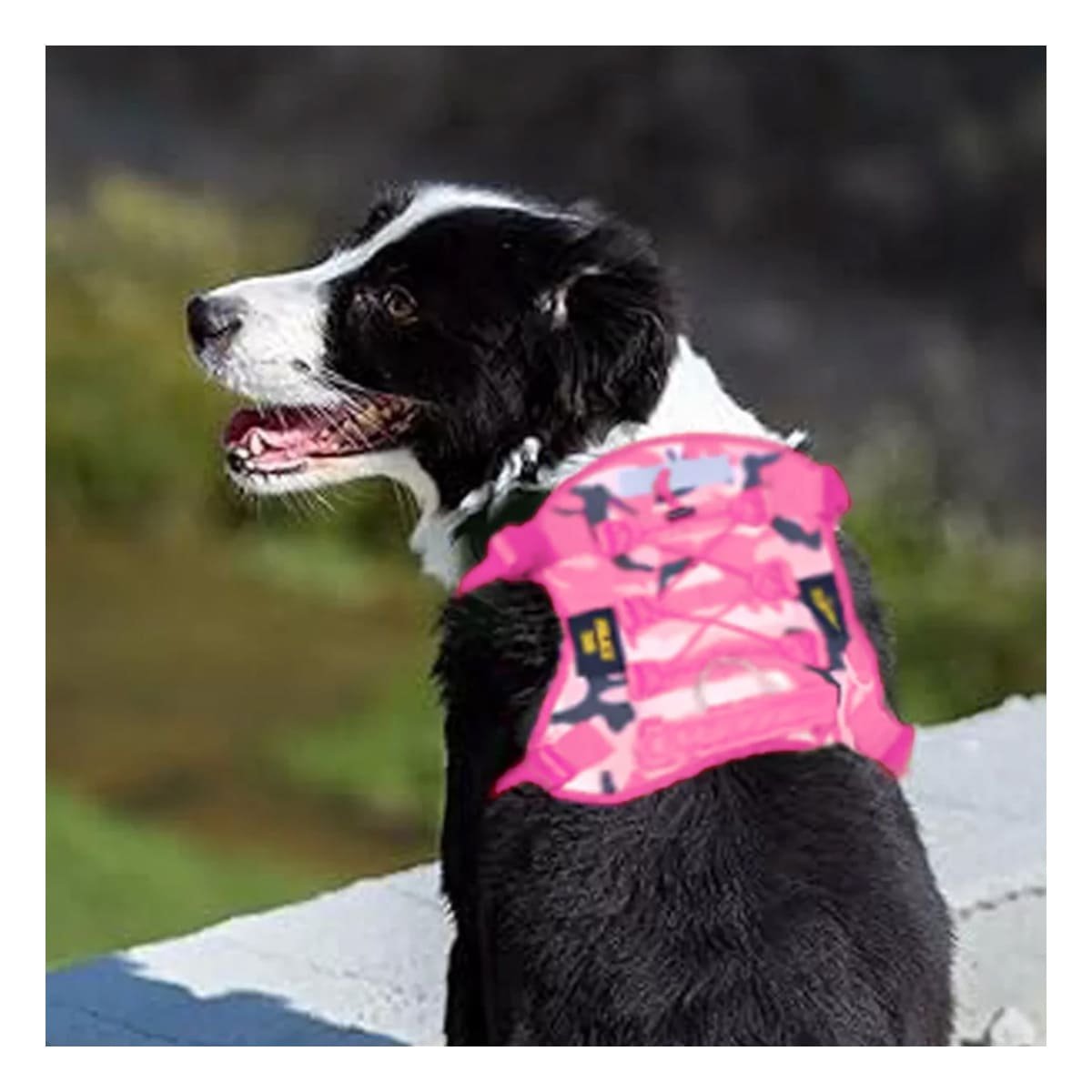 ARNES PARA PERRO ROSADO TACTICO TALLA XL COMODO Y DURADERO Y+LIGAS REGALO - 2