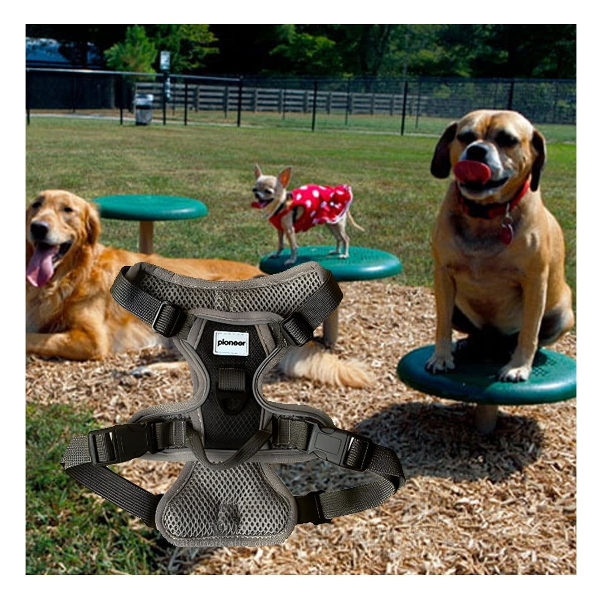 PROTECTOR PARA PERRO NEGRO TALLA M CON ERGONOMIA Y SEGURIDAD OPTIMA Y+REGALO STICKER - 5