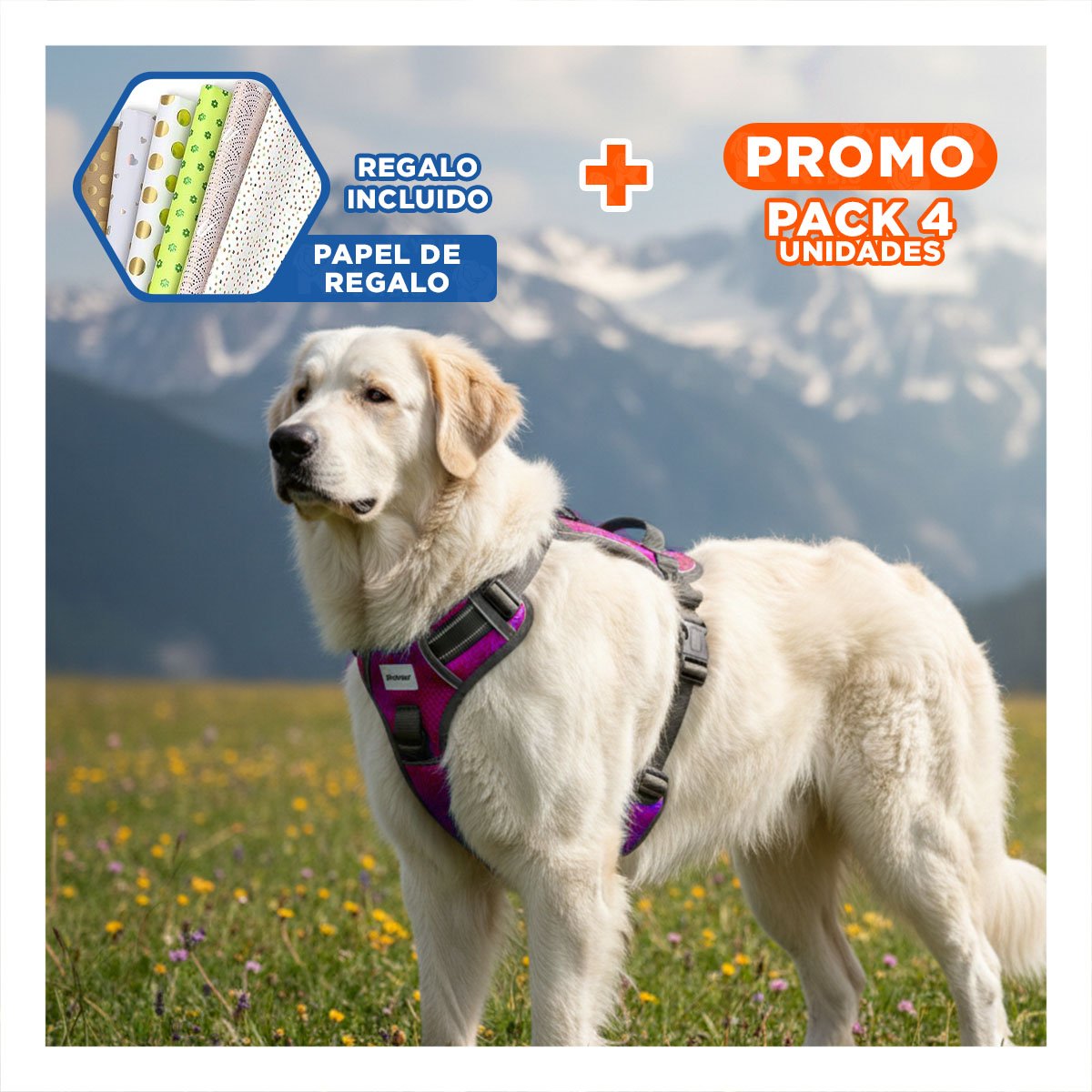 PACK4 CORREA Y PECHERA PARA PERRO AJUSTABLE CON COMODIDAD Y SEGURIDAD Y+PAPEL REGALO - 1