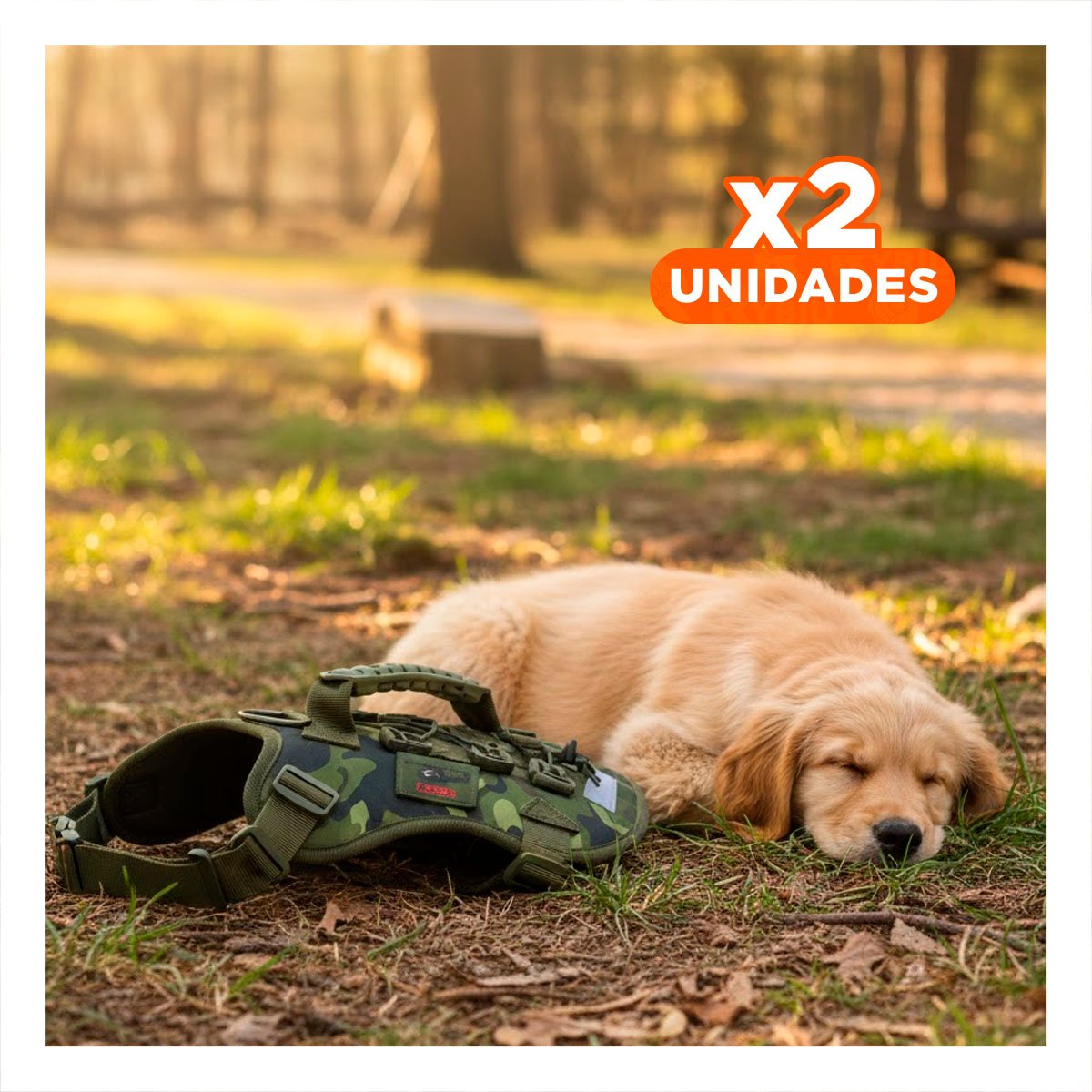 PACK2 CHALECO PARA PERRO GRANDE VERDE OSCURO TALLA L COMODO Y SEGURO Y+REGALO STICKER - 1