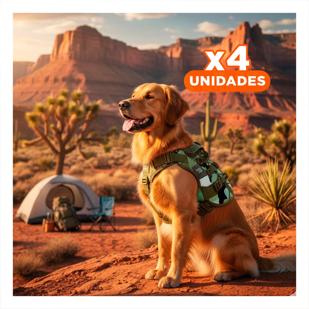 PACK4 ARNES PARA PERRO VERDE OSCURO PECHERA CHALECO AJUSTABLE RESISTENTE Y LIGERO - 1
