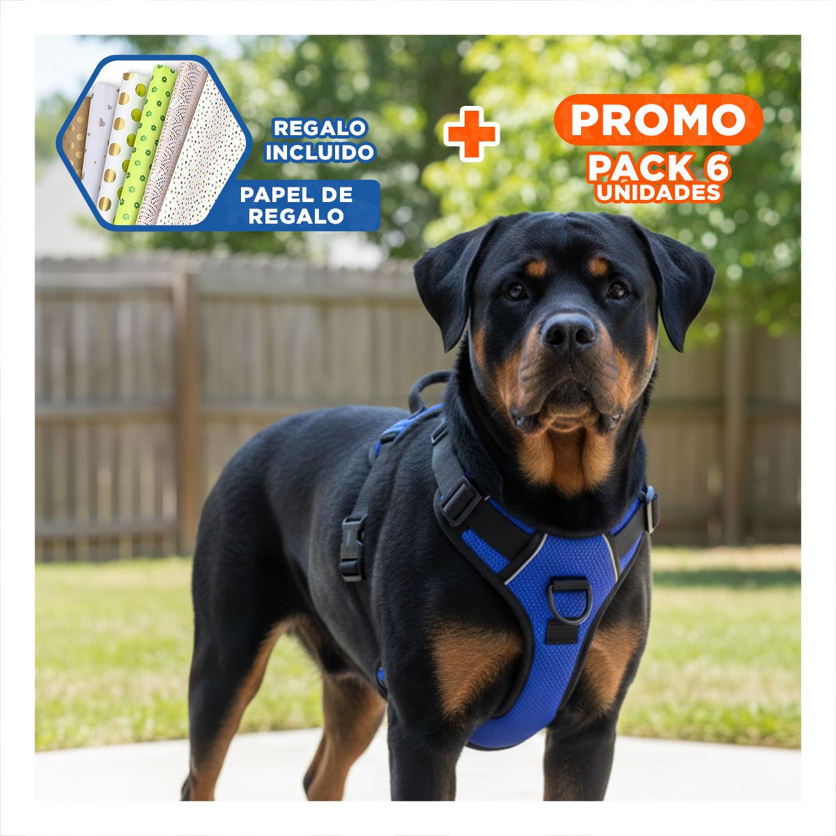 PACK6 CHALECO AJUSTABLE PARA PERRO AZUL TALLA L FACIL DE COLOCAR Y+PAPEL REGALO - 1