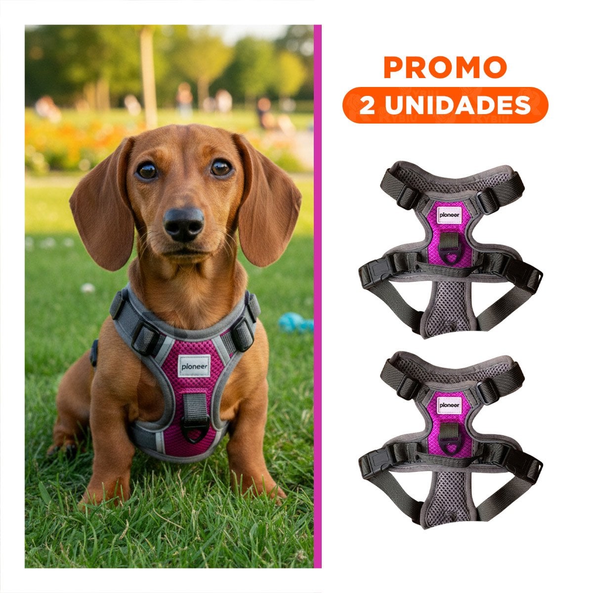 PACK2 IMPLEMENTO CANINO PARA PERRO FUCSIA TALLA S PRACTICO Y FIRME - 1