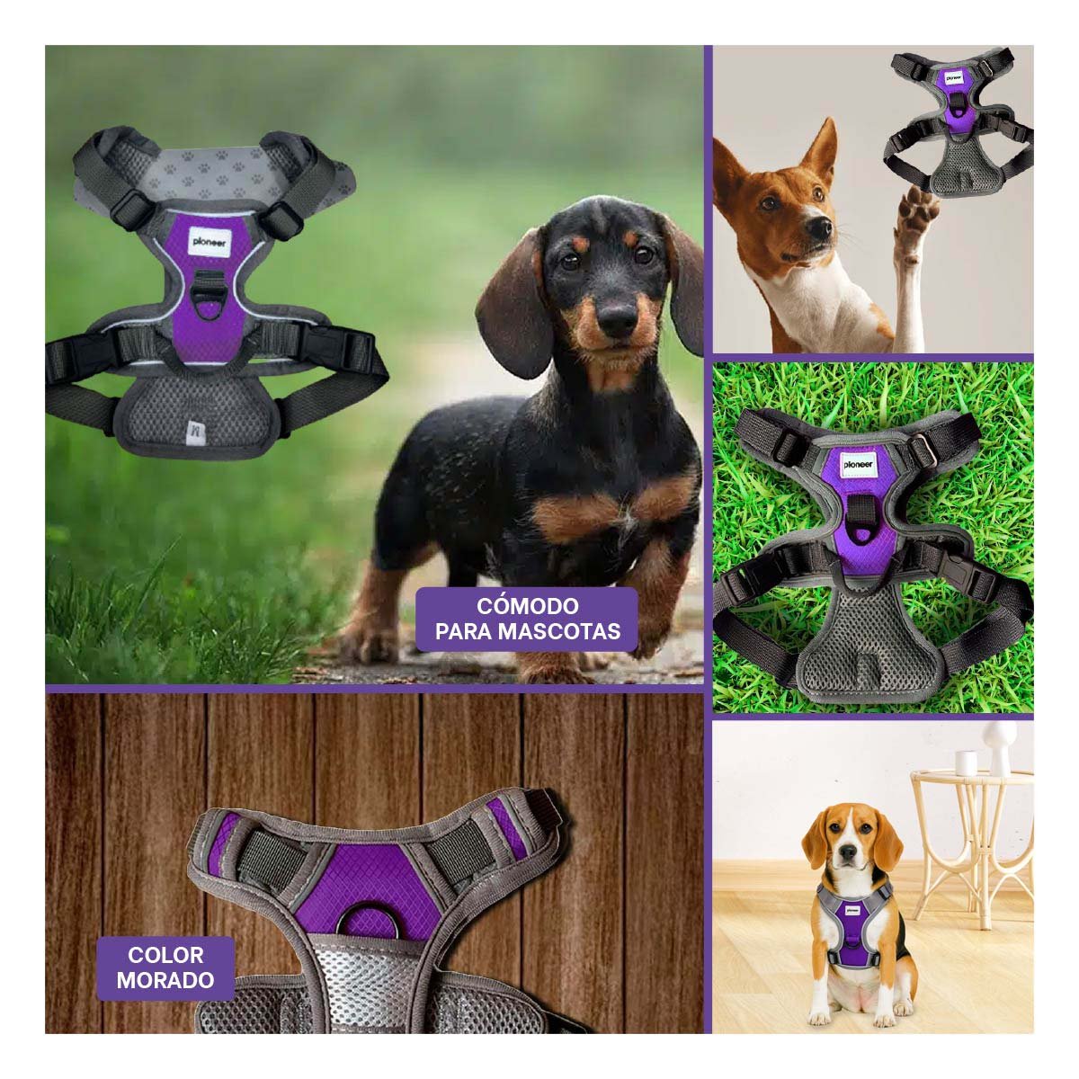 PACK4 SOPORTE LIVIANO PARA PERRO MORADO TALLA M COMODO Y RESISTENTE Y+REGALO STICKER - 2