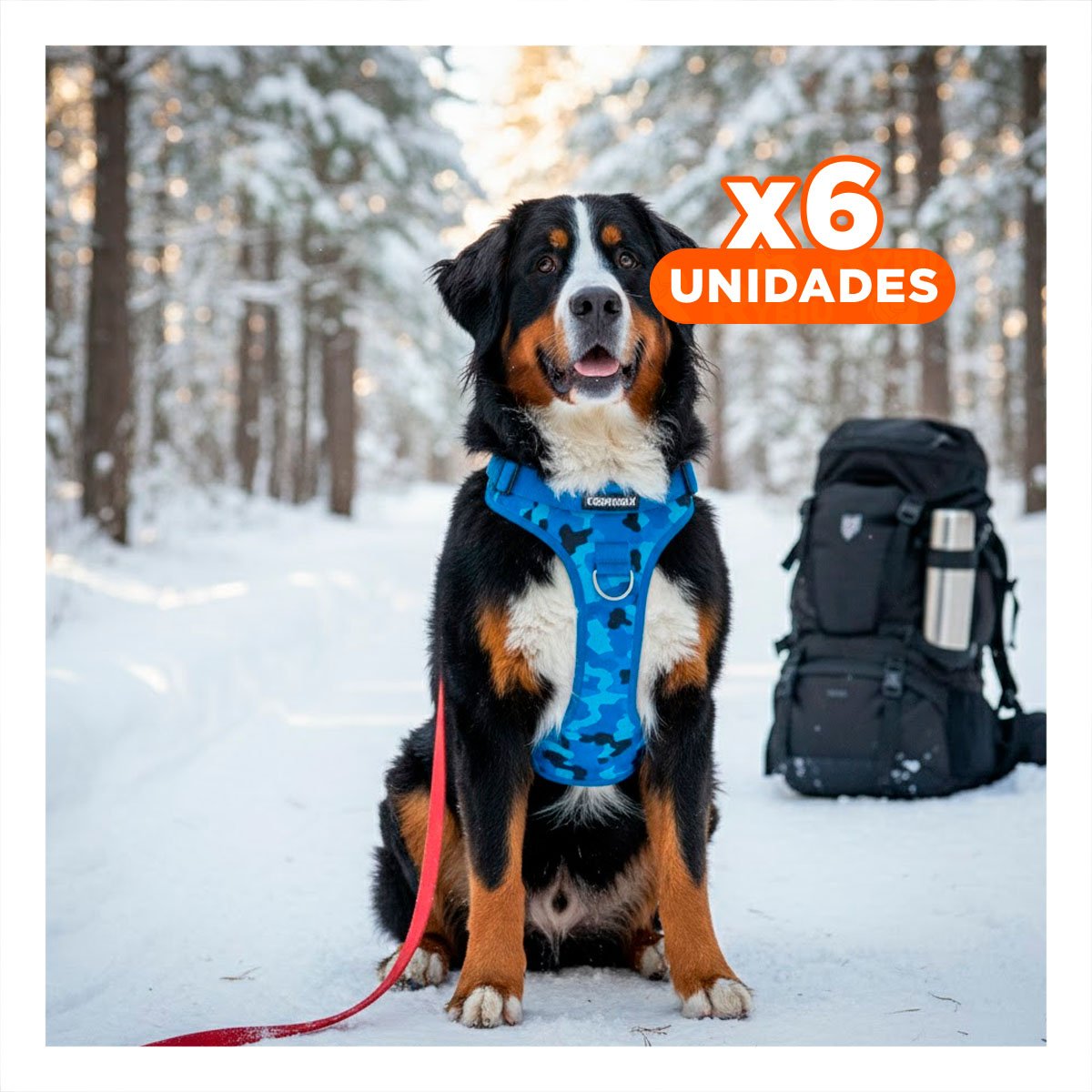 PACK6 ARNES PARA PERRO MEDIANO AZUL TACTICO TALLA XL COMODO Y FACIL DE AJUSTAR Y+REGALO STICKER - 1