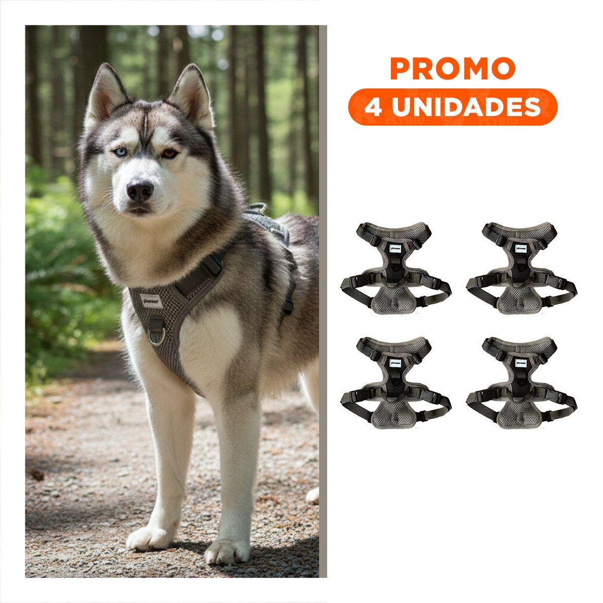 PACK4 PECHERA PARA PERRO NEGRO TALLA L CON CORREAS COMODAS Y MATERIAL LIGERO Y+REGALO STICKER - 1