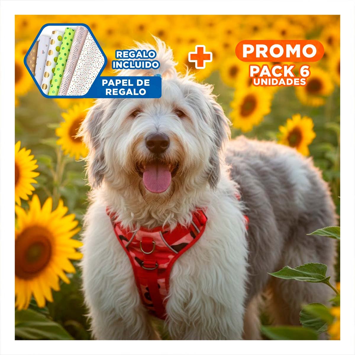 PACK6 PECHERA CHALECOS TACTICO PARA PERRO ROJO DURADERO Y CONFORTABLE Y+PAPEL REGALO - 1