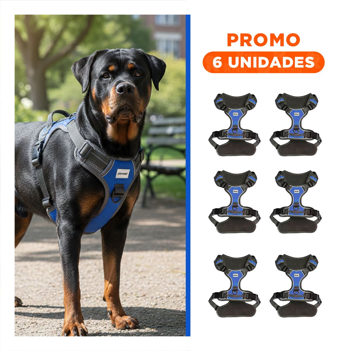 PACK6 CINTURON PARA PERRO AZUL TALLA XL AJUSTABLE Y FACIL DE COLOCAR - 1