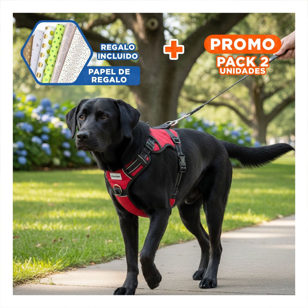 PACK2 CORREA CON PECHERA PARA PERRO ROJO TALLA L COMODA Y RESISTENTE Y+PAPEL REGALO - 1