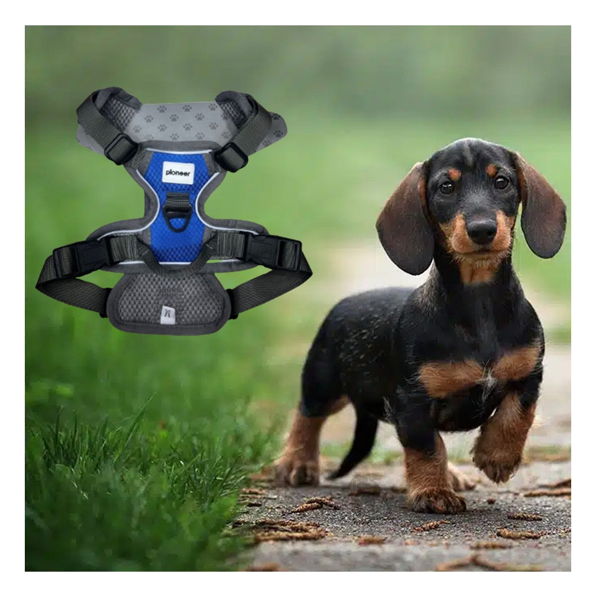PACK4 CHALECO COMODO PARA PERRO AZUL TALLA M CON MATERIAL DURADERO - 3