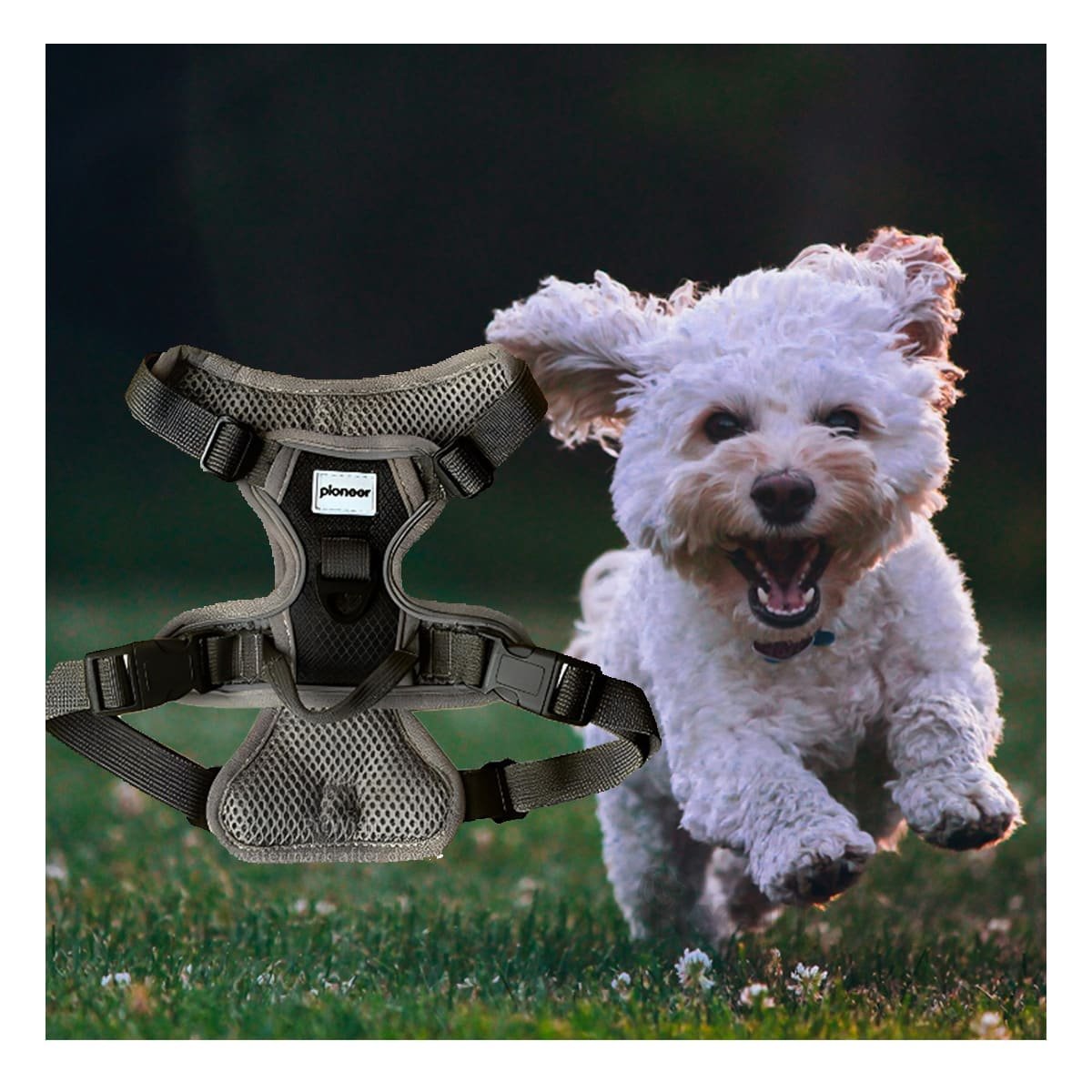 PACK4 ACCESORIO PARA PERRO NEGRO TALLA M CON ERGONOMIA Y CONFORT DIARIO - 3