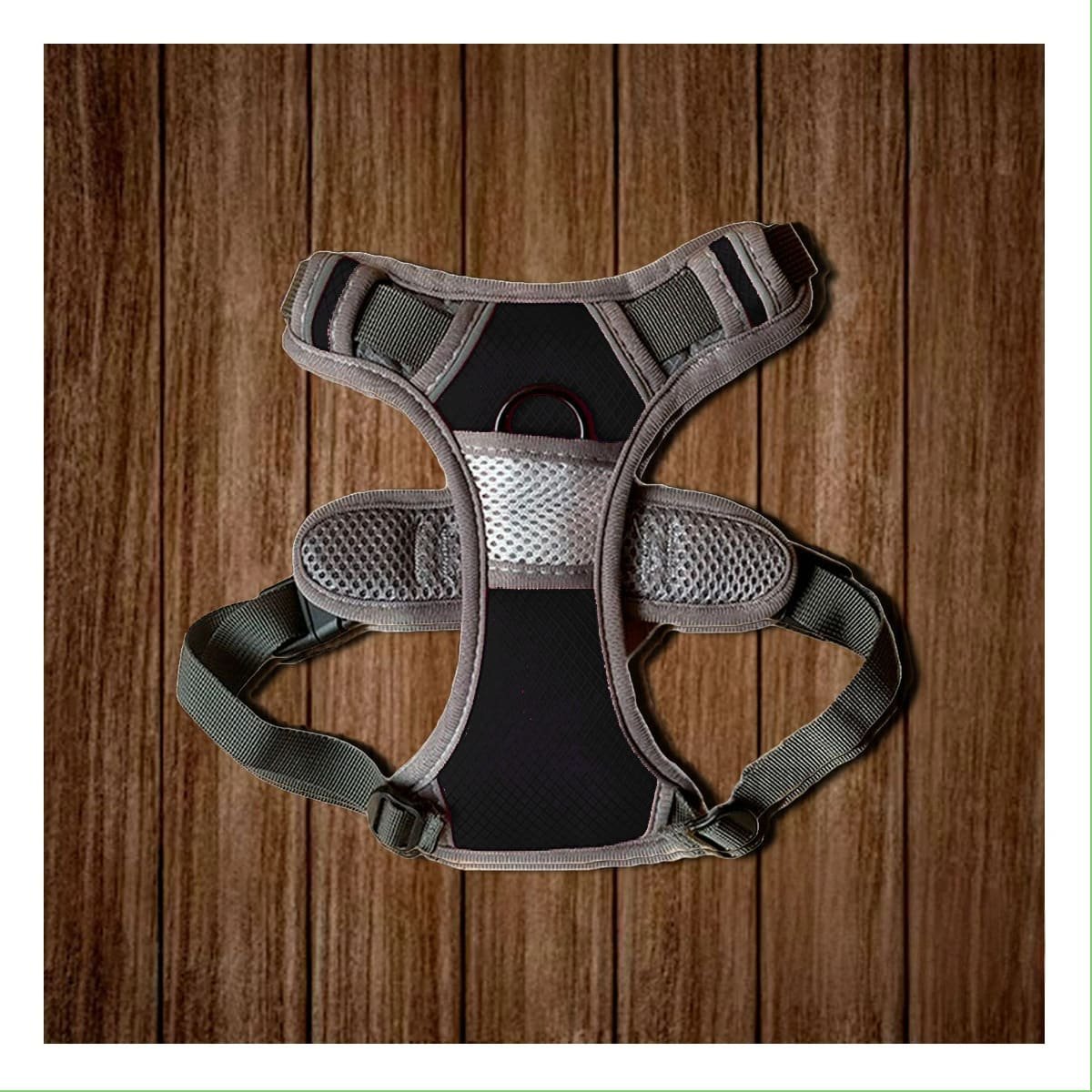 PACK4 ACCESORIO PARA PERRO NEGRO TALLA M CON ERGONOMIA Y CONFORT DIARIO - 5