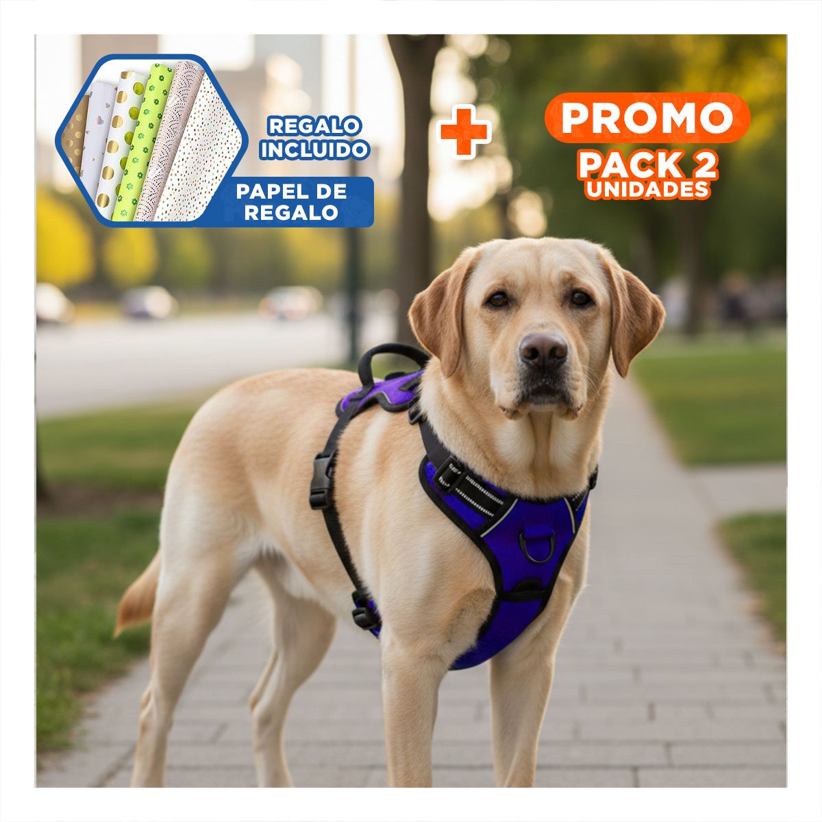 PACK2 ARNES AJUSTABLE PARA PERRO MORADO TALLA L SEGURO Y RESISTENTE Y+PAPEL REGALO - 1
