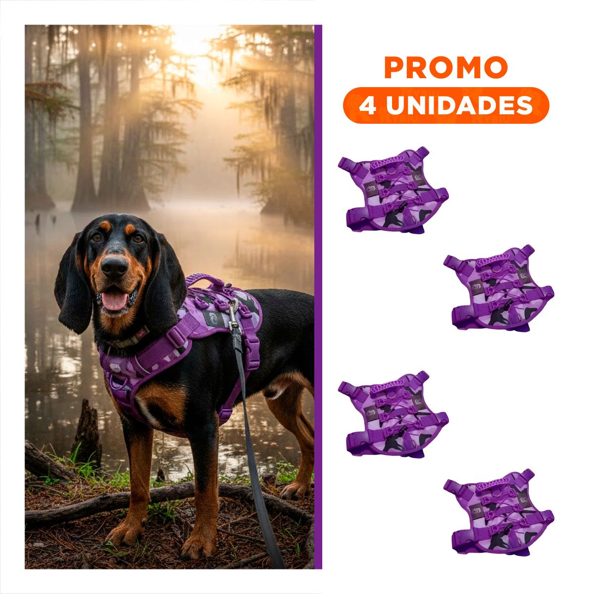 PACK4 CORREA PARA PERRO ACTIVO MORADO TALLA L CON AJUSTE COMODO Y SEGURO Y+REGALO STICKER - 1