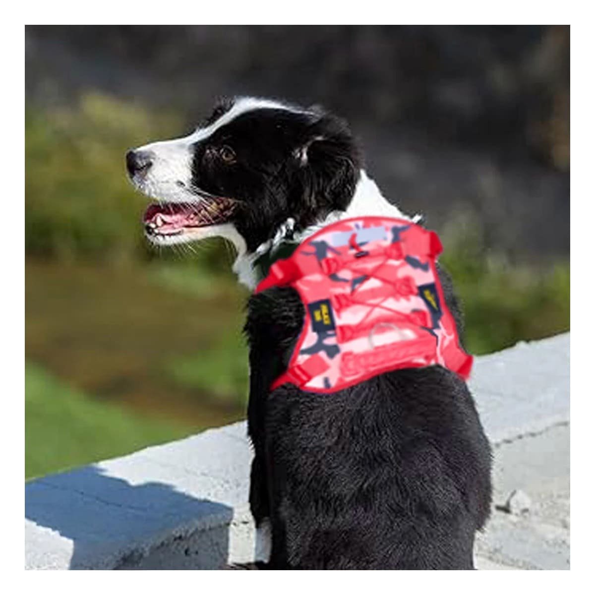 PACK4 ARNES CHALECOS TACTICO PARA PERRO ROJO RESISTENTE Y COMODO PARA SALIDAS Y+PAPEL REGALO - 5