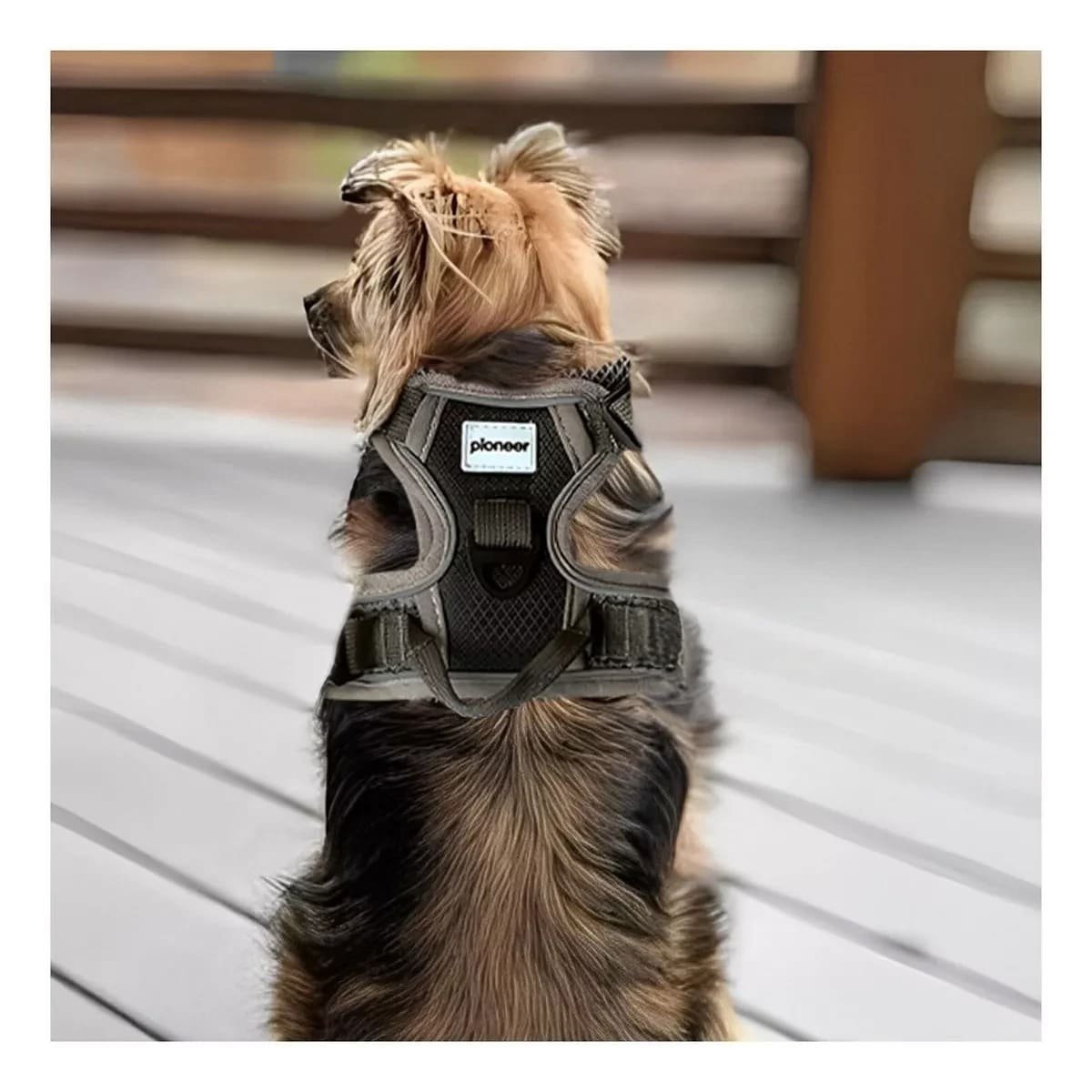 PACK2 PECHERA PARA PERRO NEGRO TALLA L CON DISEÑO ERGONOMICO Y COMODO - 5