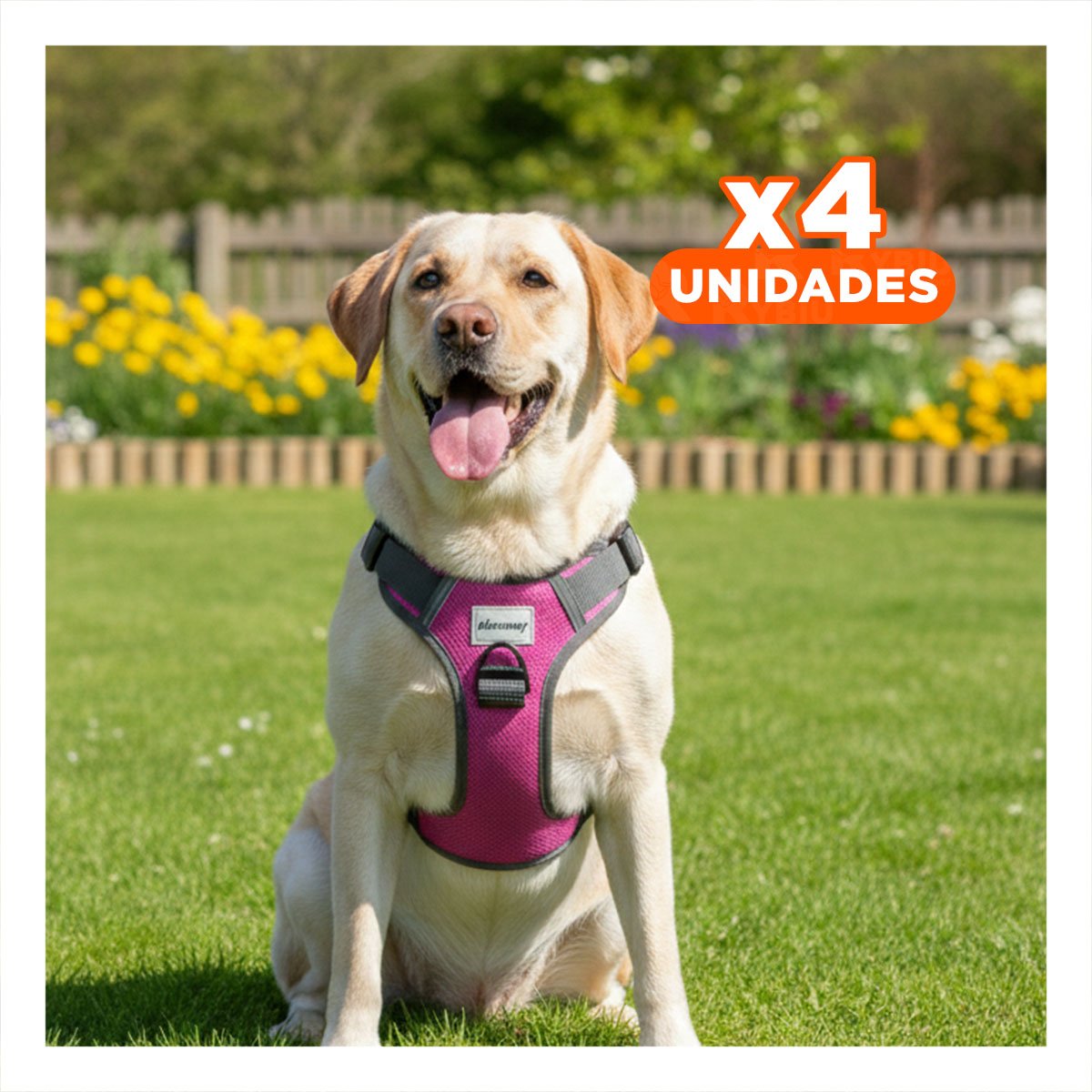 PACK4 CHALECO PARA PERRO FUCSIA TALLA L CON MATERIAL SUAVE Y RESISTENTE - 1