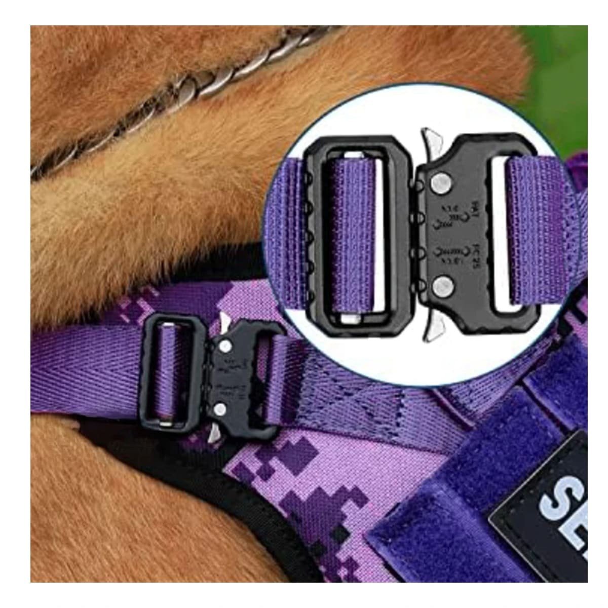 PACK4 CINTURON PARA PERRO ACTIVO MORADO TALLA L PARA PASEOS Y ENTRENAMIENTO Y+PAPEL REGALO - 2