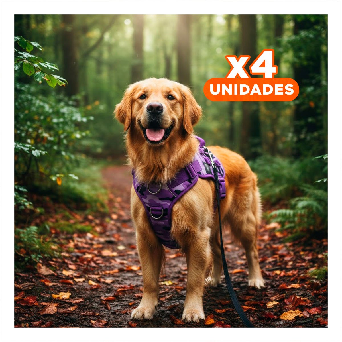 PACK4 ARNES PARA PERRO ACTIVO MORADO TALLA L CON MATERIAL SUAVE Y DURABLE - 1