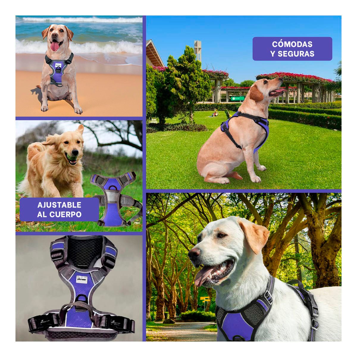 PECHERA LIGERA PARA PERRO MORADO TALLA L MATERIAL TRANSPIRABLE Y+POST IT - 5