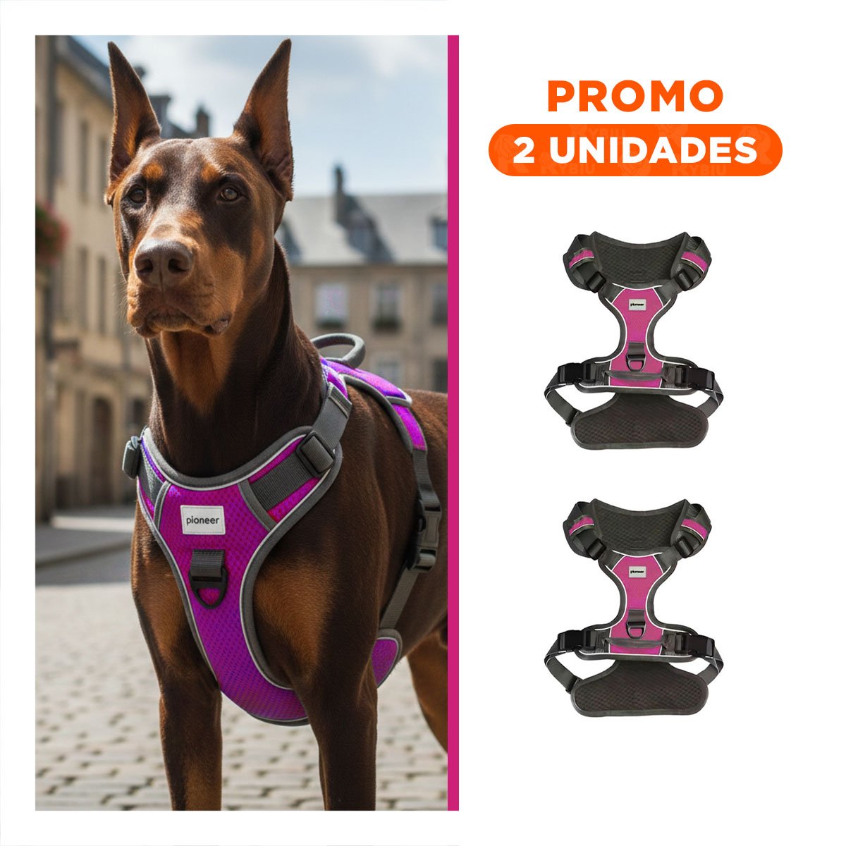 PACK2 FAJA PARA PERRO FUCSIA CON AJUSTE ERGONÓMICO Y TELA SUAVE - 1