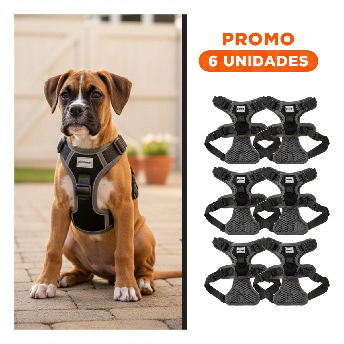 PACK6 ARNES PARA PERRO NEGRO TALLA M CON COMODIDAD Y CALIDAD SUPERIOR - 1
